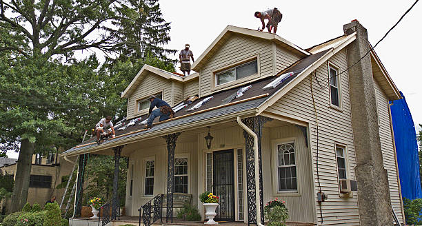 Professional Roofing Contractor in Drain, OR